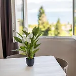 Perondi Stresa